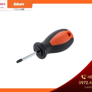 Tua vít dầu T20, 100mm, bằng thép và nhựa SR-DREH TX20 6238822